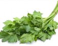 Properties and benefits of celery