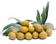 The benefits of olives
