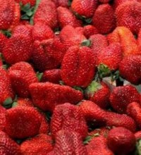 Strawberries-benefits