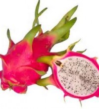 Dragon Fruit. A low calorie fruit, without fats or proteins