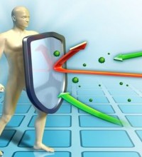 boost-the-immune-system