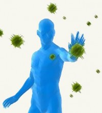immune-system