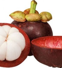 mangosteen