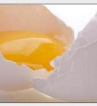 properties-of-egg